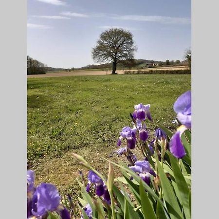 Gite Du Clos Baste Moncaup  Εξωτερικό φωτογραφία